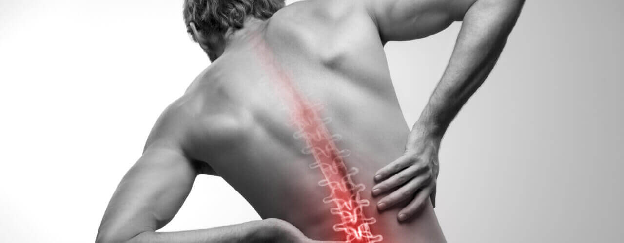 Anatomy of back pain